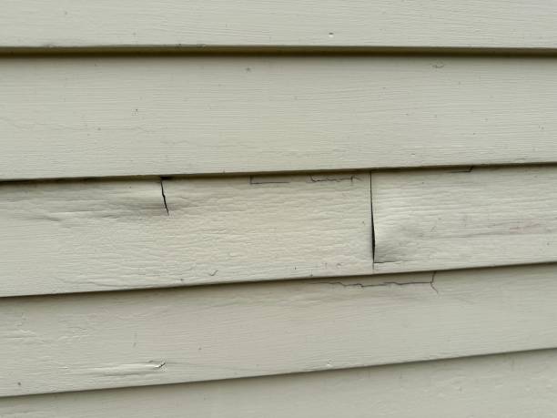 Best James Hardie Siding  in Swansboro, NC